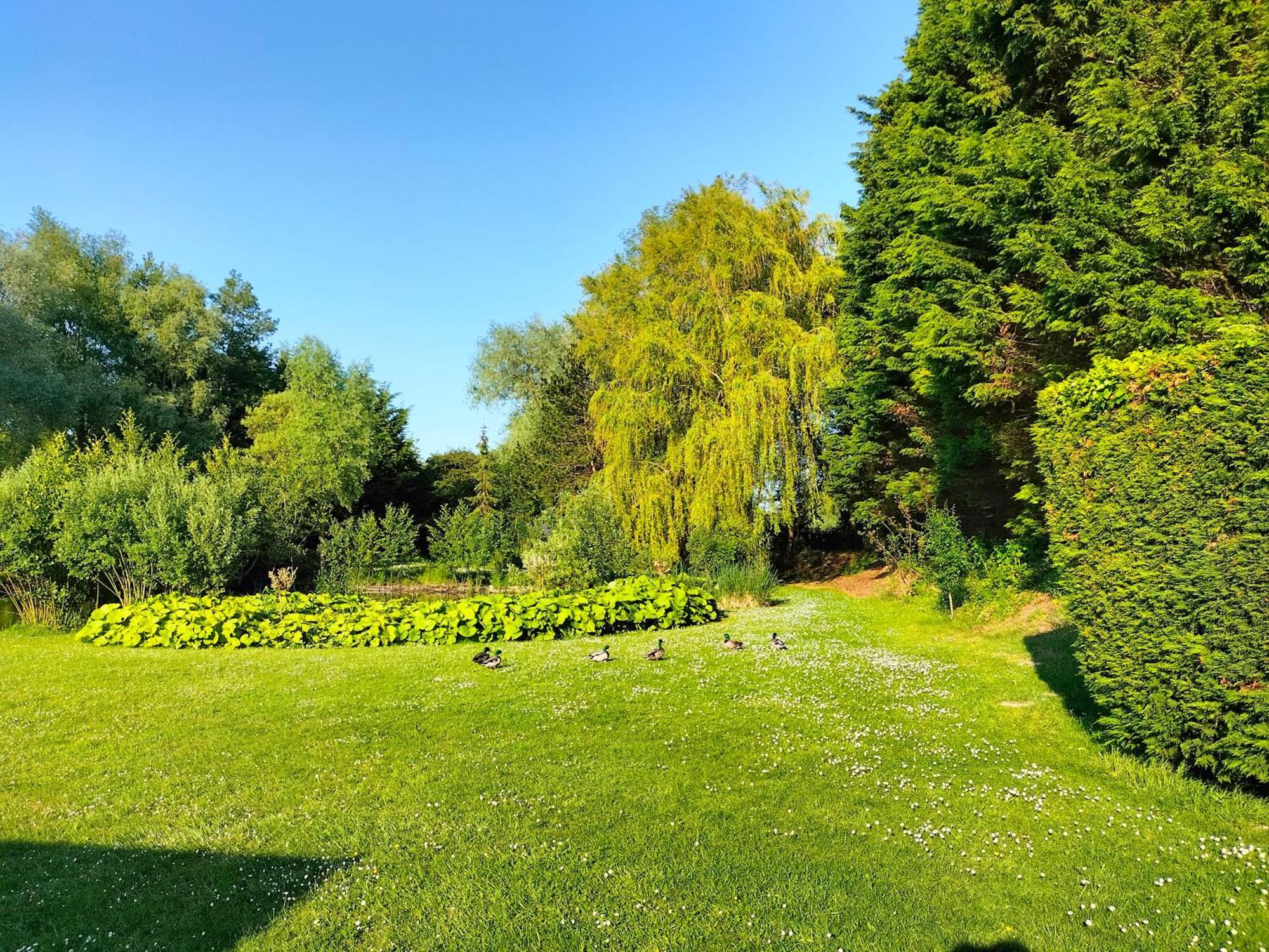 Bed and Breakfast La Mouillere Verton Екстер'єр фото